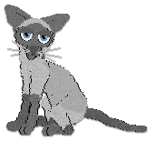 Profile image of Cargo Hasn't The Foggiest