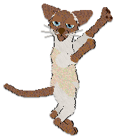 Profile image of Cargo's Where Sand Meets the Sea