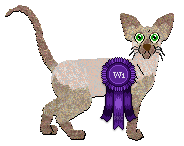 Conformation Champion: Rumpleteazer Operatic Retelling