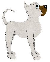 Profile image of Tangle's Ice Dróttning