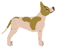 Lustre The Forgotten Pistolero — “Agamemnon”