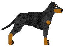 Energizing BLACK JAGUAR — “Jaggie”