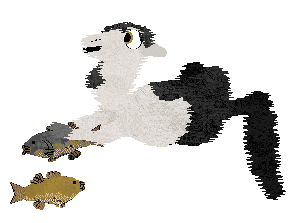 Wintervale's Missing A Piece @ Mockingbird — “Spooky”