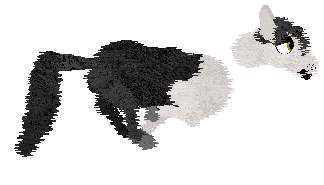 Wintervale's Missing A Piece @ Mockingbird — “Spooky”
