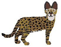 Macavity Pandoran War — “Neytiri”