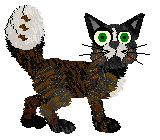 Profile image of King/FDL's Bourbon & Mint