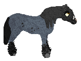 Profile image of Wapiti's Classic Blu