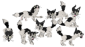 Profile image of Calluna/Winter's Tiny Stalker