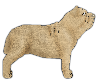 Conformation Champion: Blizzard Luna rossa