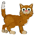 King/FDL's Golden Hour Glow — “Sunkist”