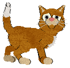 King/FDL's Golden Hour Glow — “Sunkist”