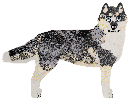 Wildside New Beginnings — “Destiny”