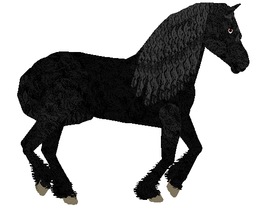 HUNCWOCI Raz Wiedźmie Śmierć — “Morrigan”