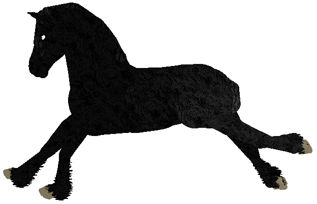 HUNCWOCI Raz Wiedźmie Śmierć — “Morrigan”