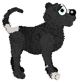 Profile image of Tangle's Tasty with Tzatziki