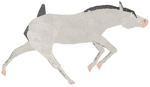 Eclipse's Casanova Badger 49 — “Cassie”