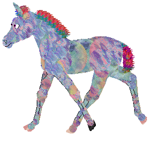 Seaglass/PA's Rainbow Connection — “Tie Dye”
