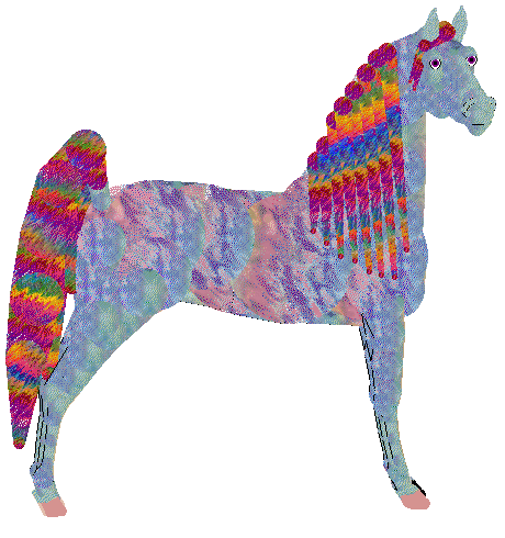 Profile image of Seaglass/PA's Rainbow Connection
