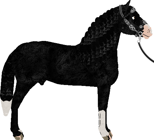 Profile image of Dekada GDY SŁOŃCE ZACHODZI
