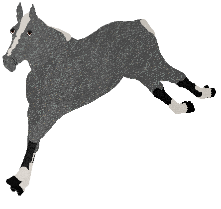 Profile image of BlueJay's Arsyn
