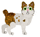 Nimblefoot's Like a Cookie — “Crumble”