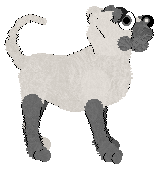 Profile image of Tangle's Wolf in Sheep's Clothing