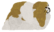 Gemstone Bishkek Declaration — “Uncia”