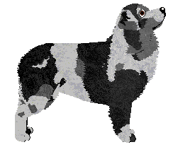 Tarot Wayfaring Stranger — “Soul”