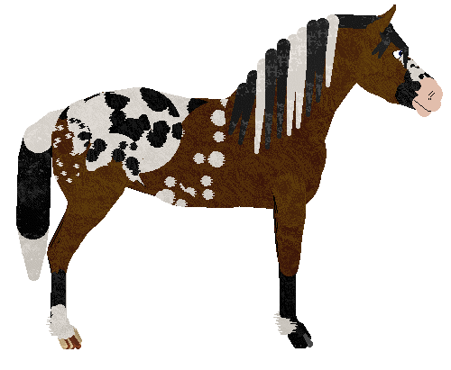 Hard Tack's Sorry Winnetou! — “Tahki”
