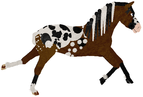 Hard Tack's Sorry Winnetou! — “Tahki”