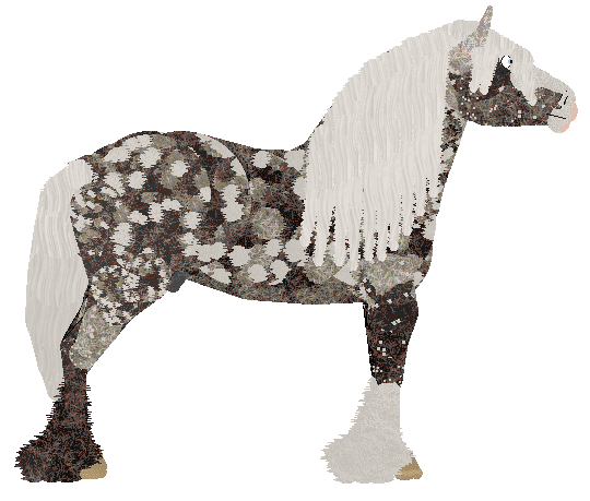 Mockingbird's Sterling Serenade at Sakura Ridge — “Sterling”