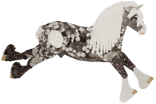 Mockingbird's Sterling Serenade at Sakura Ridge — “Sterling”