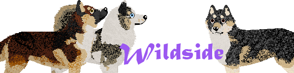 Banner for Wildside