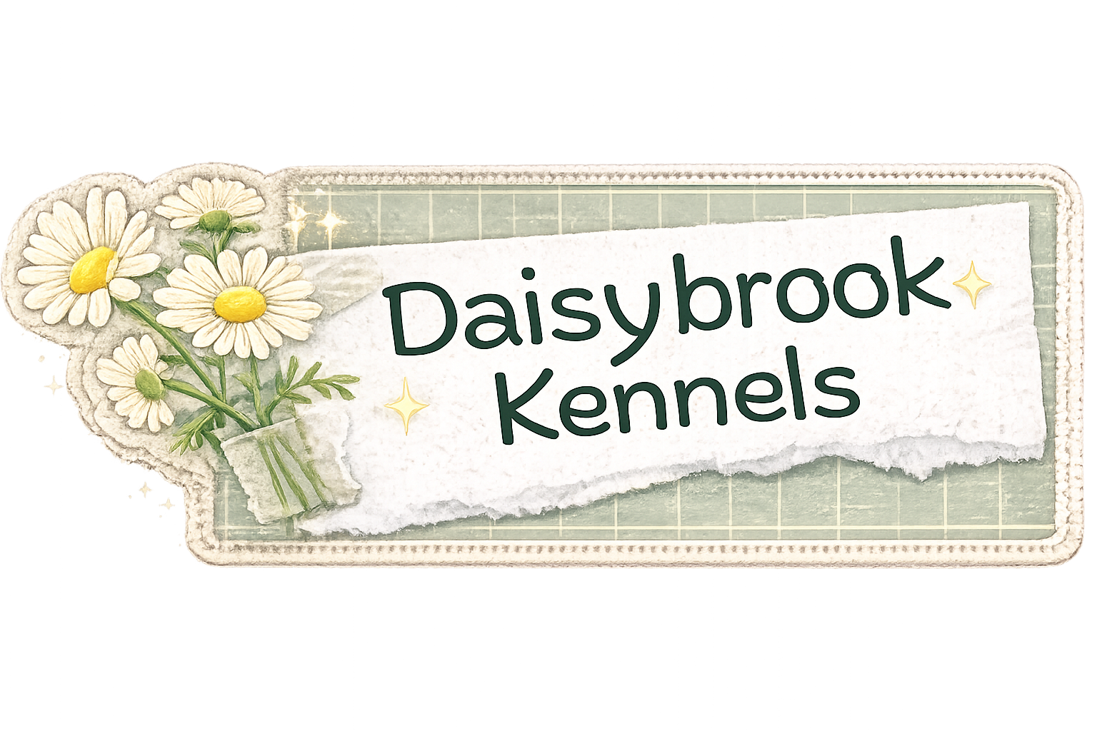 Banner for Daisybrook's