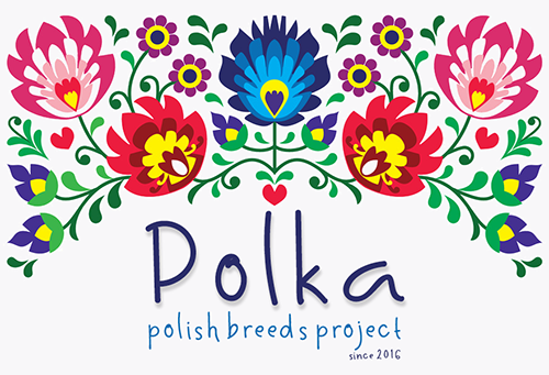 Banner for Polka