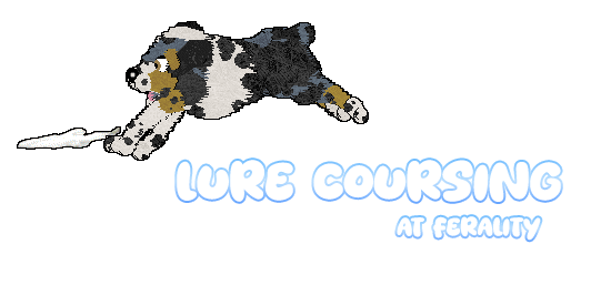 Show banner