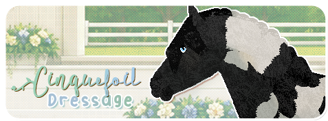 Show banner