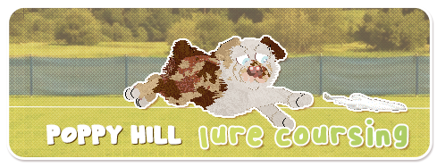 Show banner