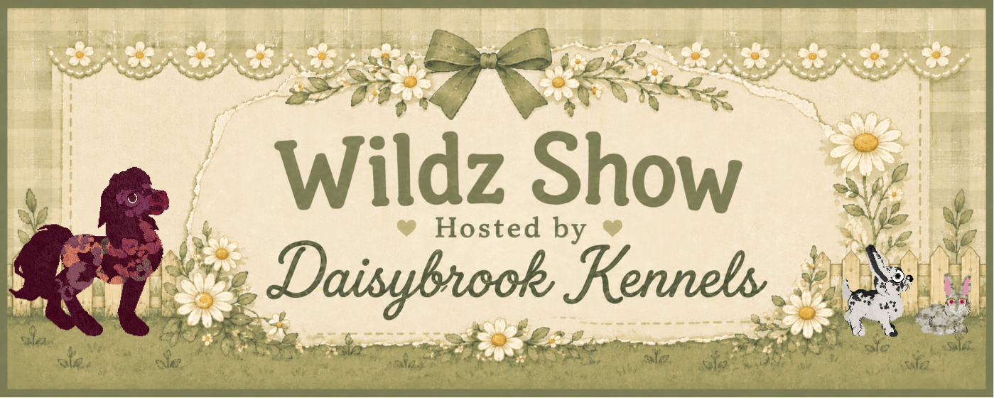 Show banner