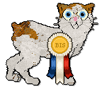 Show banner
