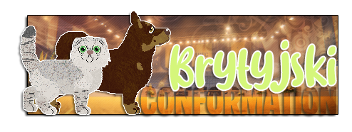 Show banner