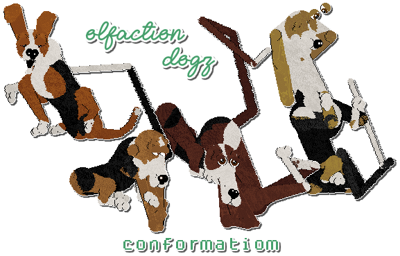 Show banner