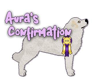 Show banner