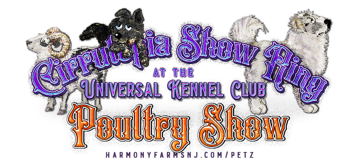 Show banner