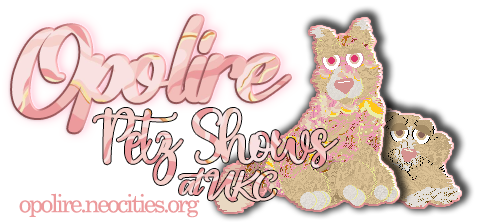 Show banner