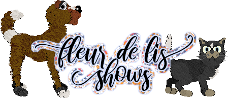 Show banner