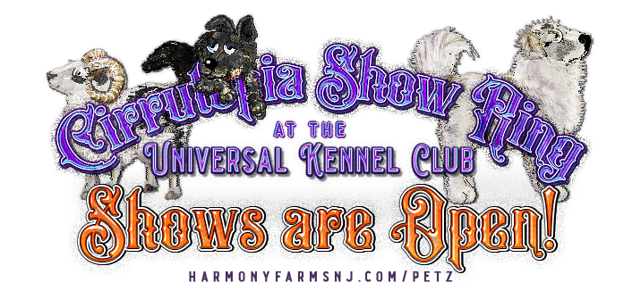 Show banner