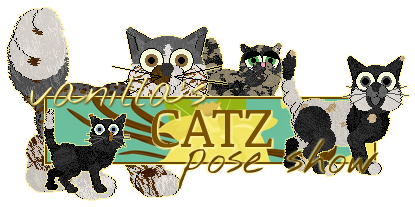 Show banner